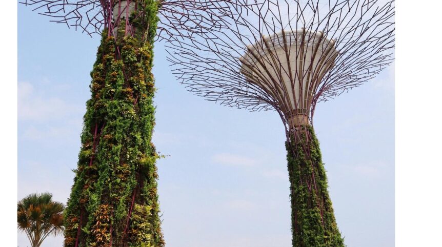 Singapur